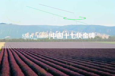 乐山中国十七块金牌