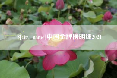 乐山中国金牌榜明细2021