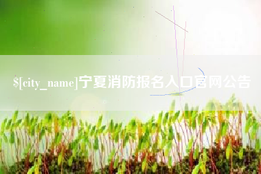 乐山宁夏消防报名入口官网公告