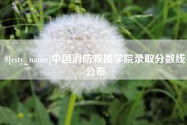 乐山中国消防救援学院录取分数线公布