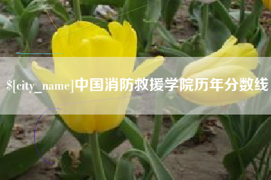 乐山中国消防救援学院历年分数线