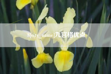 乐山九宫格优点