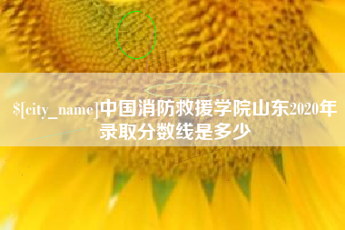 乐山中国消防救援学院山东2020年录取分数线是多少