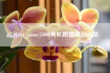 乐山5000米长跑国家运动员