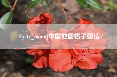 乐山中国地图格子画法