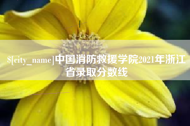 乐山中国消防救援学院2021年浙江省录取分数线