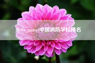 乐山中国消防学校排名