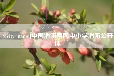 乐山中国消防官网中小学消防公开课
