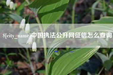 乐山中国执法公开网征信怎么查询