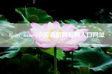 乐山中国消防网官网入口网址