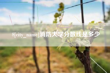 乐山消防大学分数线是多少