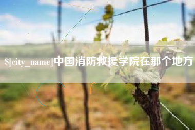 乐山中国消防救援学院在那个地方
