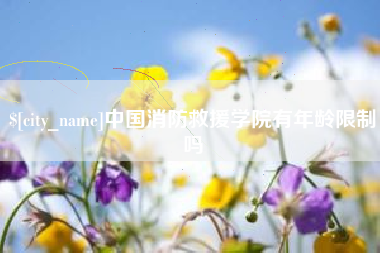 乐山中国消防救援学院有年龄限制吗