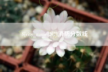 乐山2021消防分数线