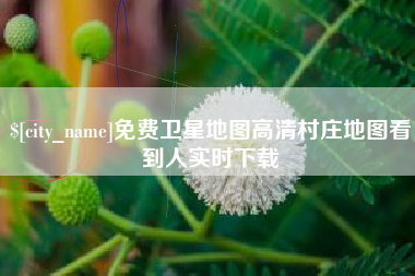 乐山免费卫星地图高清村庄地图看到人实时下载