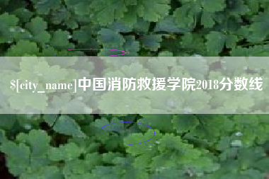 乐山中国消防救援学院2018分数线