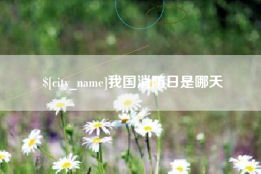 乐山我国消防日是哪天
