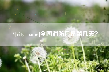 乐山全国消防日是第几天？