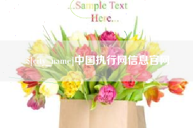 乐山中国执行网信息官网