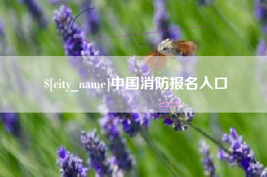 乐山中国消防报名入口