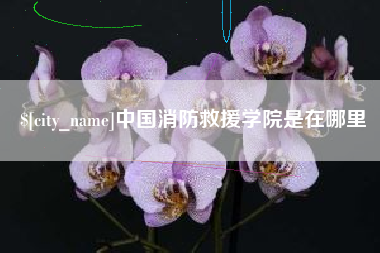 乐山中国消防救援学院是在哪里