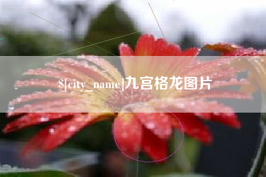 乐山九宫格龙图片