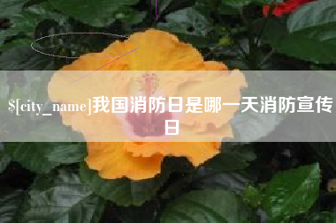 乐山我国消防日是哪一天消防宣传日