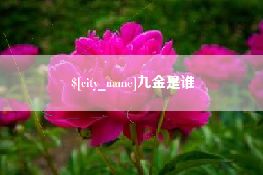 乐山九金是谁