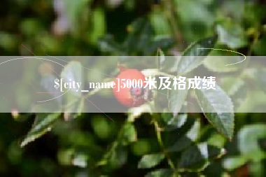 乐山5000米及格成绩