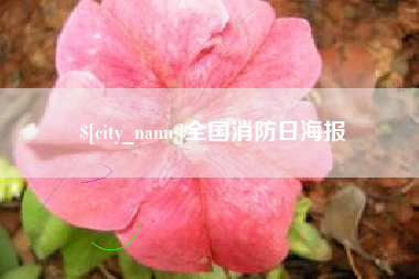 乐山全国消防日海报