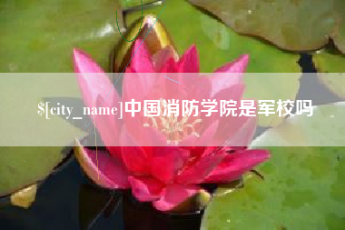 乐山中国消防学院是军校吗