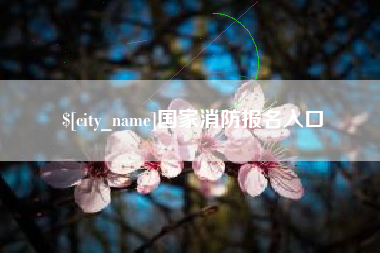 乐山国家消防报名入口