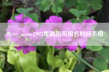乐山2025年消防员报名时间表格