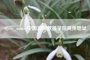 乐山中国消防救援学院具体地址