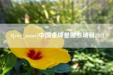 乐山中国金牌是哪些项目2021