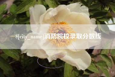 乐山消防院校录取分数线