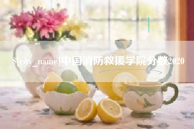 乐山中国消防救援学院分数2020