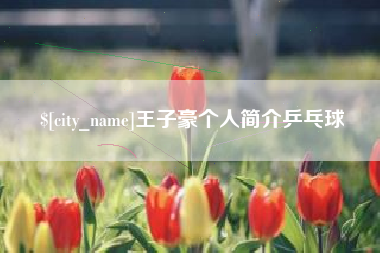 乐山王子豪个人简介乒乓球