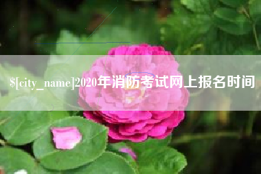 乐山2020年消防考试网上报名时间