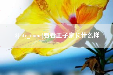 乐山看看王子豪长什么样