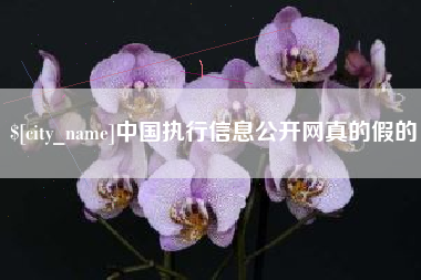 乐山中国执行信息公开网真的假的