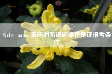乐山重庆消防设施操作员证报考条件