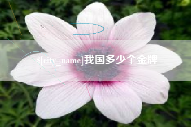 乐山我国多少个金牌