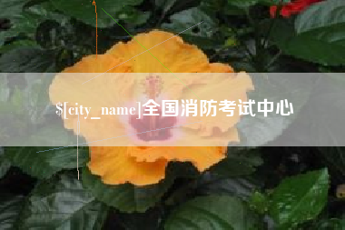 乐山全国消防考试中心