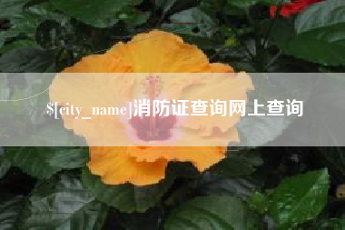 乐山消防证查询网上查询