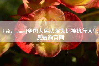 乐山全国人民法院失信被执行人信息查询官网