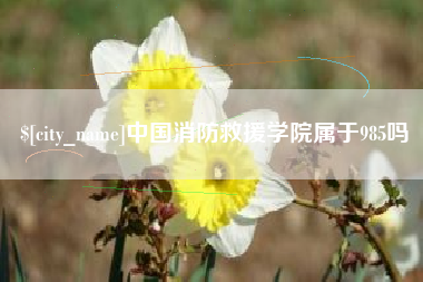 乐山中国消防救援学院属于985吗