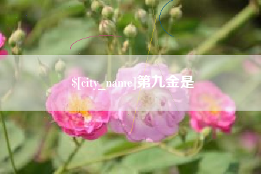 乐山第九金是