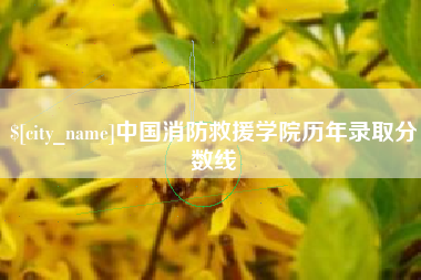 乐山中国消防救援学院历年录取分数线
