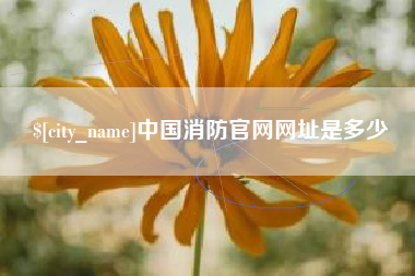 乐山中国消防官网网址是多少